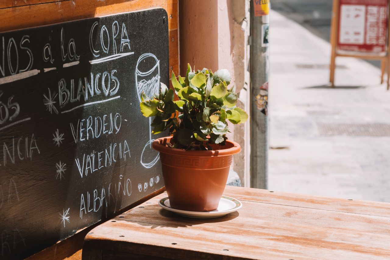 gallery-5 Charming café scene featuring a chalkboard menu and potted plant on a wooden table outdoors.