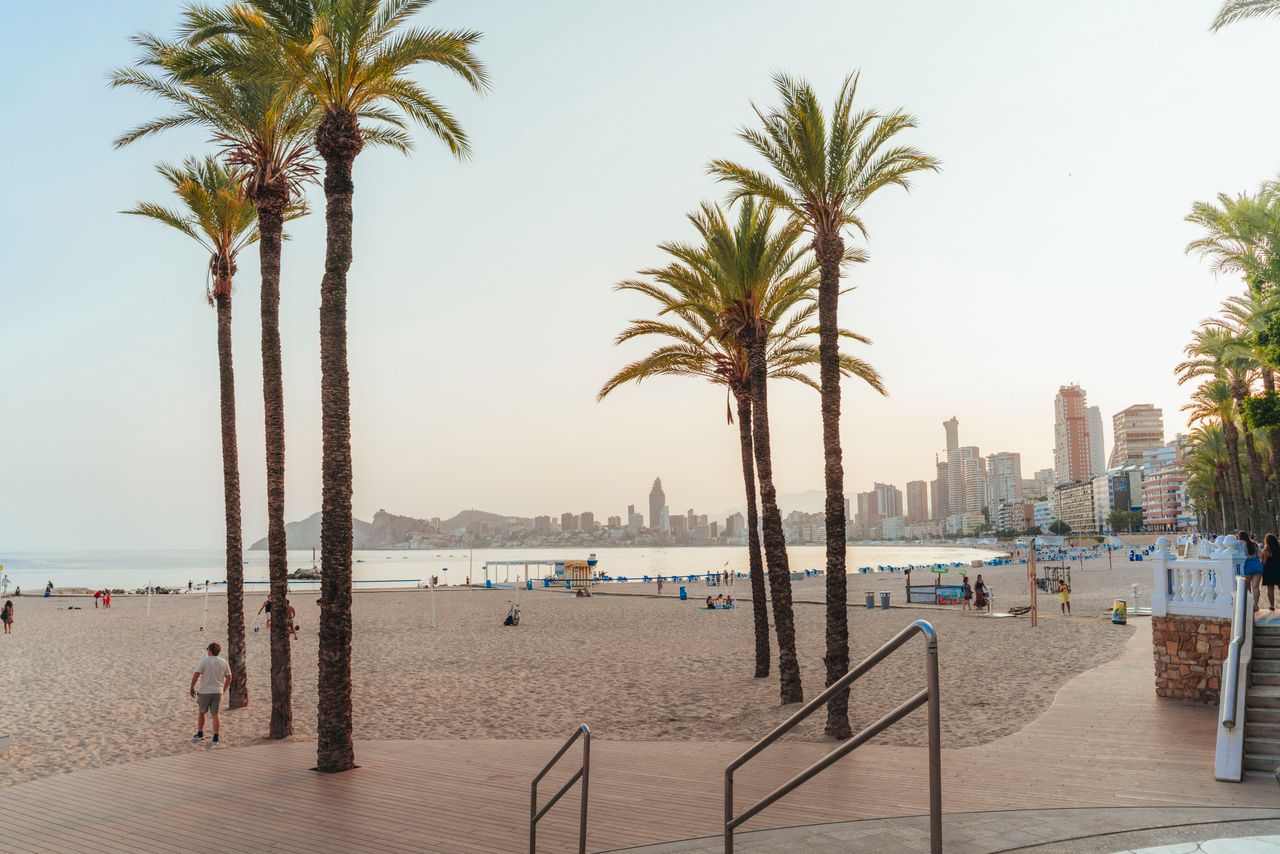 gallery-6 A picturesque view of Benidorm beach with palm trees and city skyline during sunset.